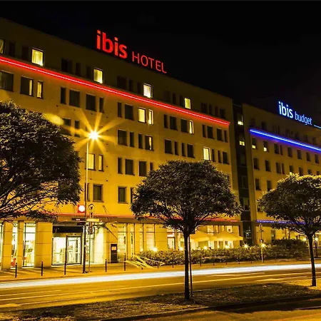 Ibis Stare